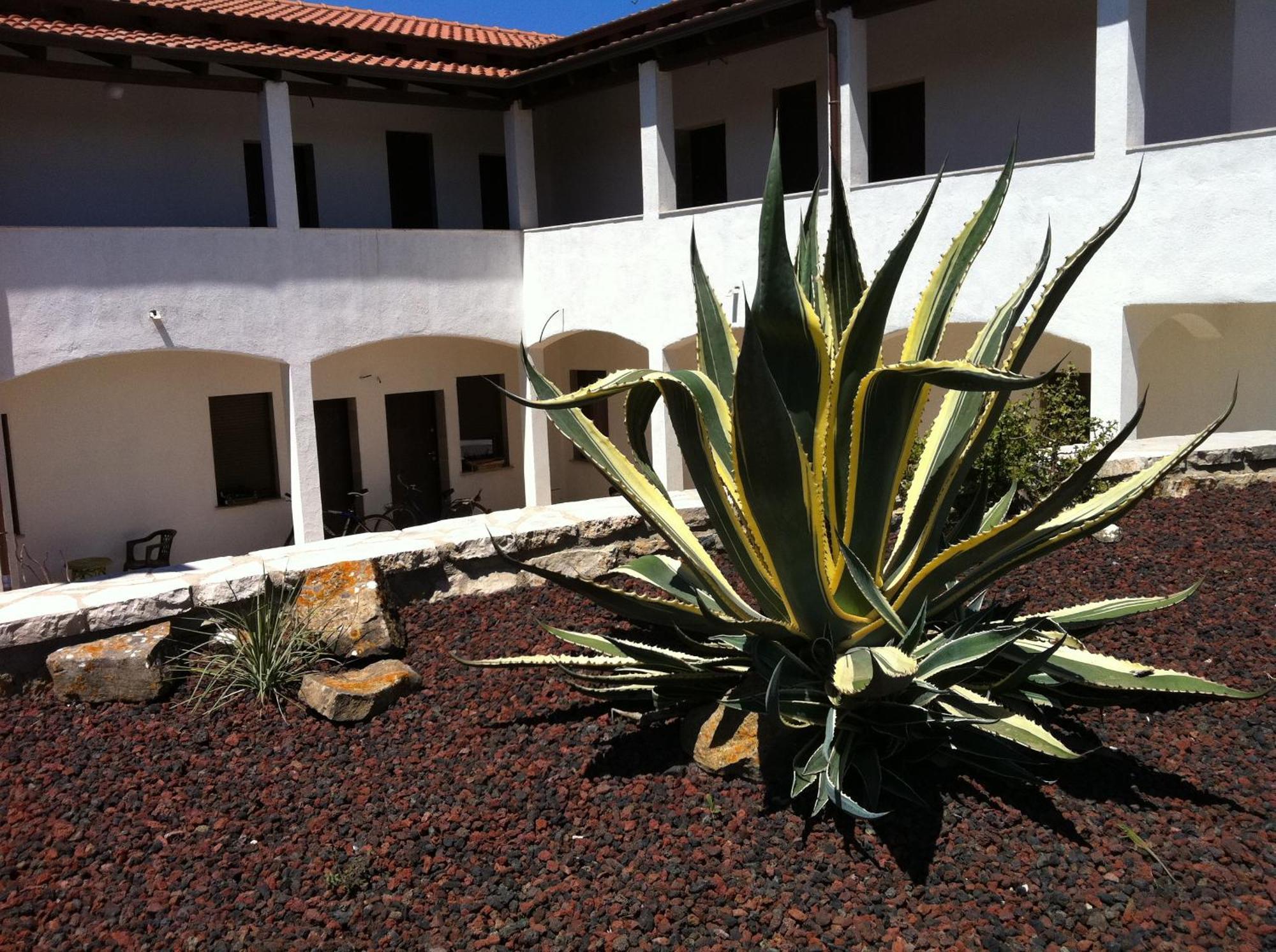 Agave Alghero Fertilia Buitenkant foto